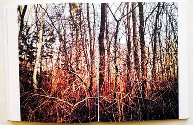 Sample page 1 for book "Anzenberger, Regina – Regina Anzenberger - Roots & Bonds" Sample page 1 for book "Anzenberger, Regina – Regina Anzenberger - Roots & Bonds"