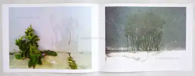 Sample page 6 for book "Godany, Jaqueline – Jaqueline Godany - brunzer" Sample page 6 for book "Godany, Jaqueline – Jaqueline Godany - brunzer"