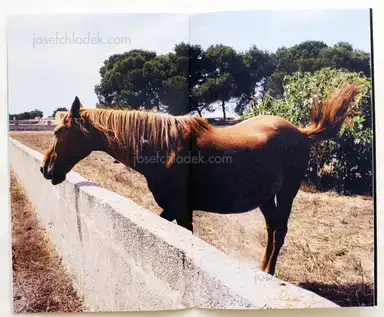 Sample page 3 for book "Zaragoza, Ana – Ana Zaragoza - La più bella isola al mondo" Sample page 3 for book "Zaragoza, Ana – Ana Zaragoza - La più bella isola al mondo"