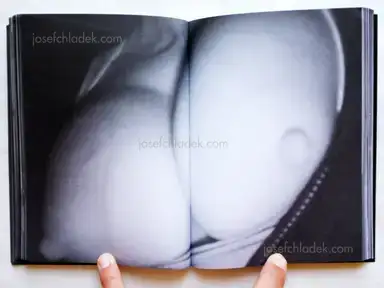 Sample page 9 for book "Tosa, Ken – Ken Tosa - Animals" Sample page 9 for book "Tosa, Ken – Ken Tosa - Animals"