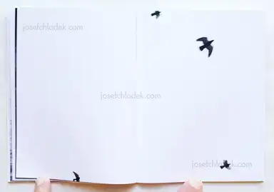 Sample page 4 for book "Quiroga, Tomás – Tomás Quiroga - Apátrida" Sample page 4 for book "Quiroga, Tomás – Tomás Quiroga - Apátrida"