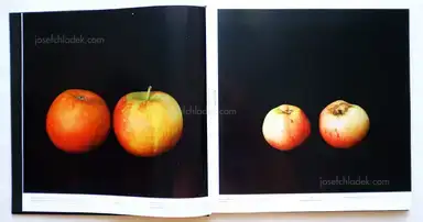 Sample page 14 for book "Gaißer, Philip / Hausser, Niklas – Philip Gaißer & Niklas Hausser - Alma" Sample page 14 for book "Gaißer, Philip / Hausser, Niklas – Philip Gaißer & Niklas Hausser - Alma"