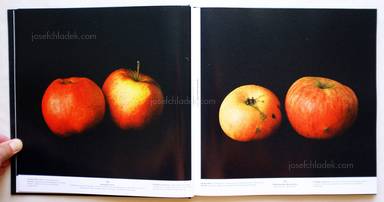 Sample page 11 for book "Gaißer, Philip / Hausser, Niklas – Philip Gaißer & Niklas Hausser - Alma" Sample page 11 for book "Gaißer, Philip / Hausser, Niklas – Philip Gaißer & Niklas Hausser - Alma"