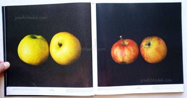 Sample page 10 for book "Gaißer, Philip / Hausser, Niklas – Philip Gaißer & Niklas Hausser - Alma" Sample page 10 for book "Gaißer, Philip / Hausser, Niklas – Philip Gaißer & Niklas Hausser - Alma"