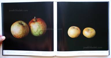 Sample page 9 for book "Gaißer, Philip / Hausser, Niklas – Philip Gaißer & Niklas Hausser - Alma" Sample page 9 for book "Gaißer, Philip / Hausser, Niklas – Philip Gaißer & Niklas Hausser - Alma"