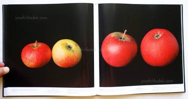 Sample page 7 for book "Gaißer, Philip / Hausser, Niklas – Philip Gaißer & Niklas Hausser - Alma" Sample page 7 for book "Gaißer, Philip / Hausser, Niklas – Philip Gaißer & Niklas Hausser - Alma"