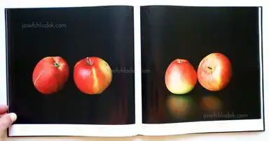 Sample page 5 for book "Gaißer, Philip / Hausser, Niklas – Philip Gaißer & Niklas Hausser - Alma" Sample page 5 for book "Gaißer, Philip / Hausser, Niklas – Philip Gaißer & Niklas Hausser - Alma"