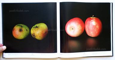 Sample page 4 for book "Gaißer, Philip / Hausser, Niklas – Philip Gaißer & Niklas Hausser - Alma" Sample page 4 for book "Gaißer, Philip / Hausser, Niklas – Philip Gaißer & Niklas Hausser - Alma"