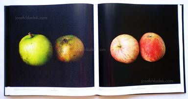 Sample page 1 for book "Gaißer, Philip / Hausser, Niklas – Philip Gaißer & Niklas Hausser - Alma" Sample page 1 for book "Gaißer, Philip / Hausser, Niklas – Philip Gaißer & Niklas Hausser - Alma"