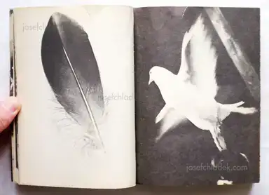 Sample page 16 for book "Høm, Jesper / Grønløkke, Sven – Jesper Høm & Sven Grønløkke - Kinderbilderbuch" Sample page 16 for book "Høm, Jesper / Grønløkke, Sven – Jesper Høm & Sven Grønløkke - Kinderbilderbuch"