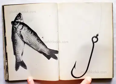 Sample page 12 for book "Høm, Jesper / Grønløkke, Sven – Jesper Høm & Sven Grønløkke - Kinderbilderbuch" Sample page 12 for book "Høm, Jesper / Grønløkke, Sven – Jesper Høm & Sven Grønløkke - Kinderbilderbuch"