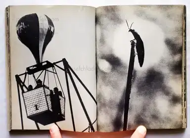 Sample page 10 for book "Høm, Jesper / Grønløkke, Sven – Jesper Høm & Sven Grønløkke - Kinderbilderbuch" Sample page 10 for book "Høm, Jesper / Grønløkke, Sven – Jesper Høm & Sven Grønløkke - Kinderbilderbuch"