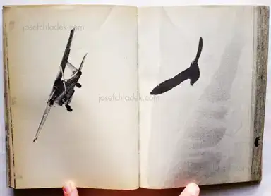 Sample page 6 for book "Høm, Jesper / Grønløkke, Sven – Jesper Høm & Sven Grønløkke - Kinderbilderbuch" Sample page 6 for book "Høm, Jesper / Grønløkke, Sven – Jesper Høm & Sven Grønløkke - Kinderbilderbuch"