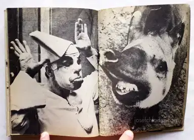 Sample page 4 for book "Høm, Jesper / Grønløkke, Sven – Jesper Høm & Sven Grønløkke - Kinderbilderbuch" Sample page 4 for book "Høm, Jesper / Grønløkke, Sven – Jesper Høm & Sven Grønløkke - Kinderbilderbuch"