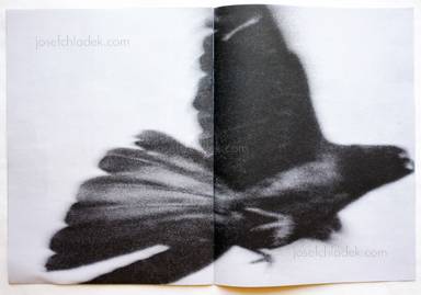 Sample page 2 for book "Cartagena, Alejandro – Alejandro Cartagena - Before the War" Sample page 2 for book "Cartagena, Alejandro – Alejandro Cartagena - Before the War"