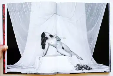 Sample page 3 for book "Gelpke, André – André Gelpke - Sex-Theater" Sample page 3 for book "Gelpke, André – André Gelpke - Sex-Theater"