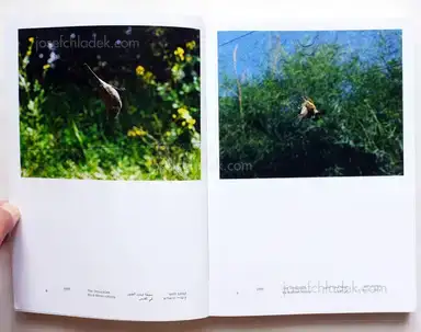 Sample page 16 for book "Ben-Shalom, Noa – Noa Ben-Shalom - Hush, Israel Palestine 2000-2014" Sample page 16 for book "Ben-Shalom, Noa – Noa Ben-Shalom - Hush, Israel Palestine 2000-2014"