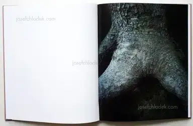 Sample page 11 for book "Sejersen, Casper – Casper Sejersen - Belongs to Joe" Sample page 11 for book "Sejersen, Casper – Casper Sejersen - Belongs to Joe"