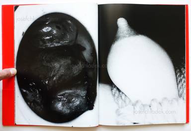 Sample page 2 for book  Nobuyoshi Araki – Erotos (荒木経惟 エロトス)