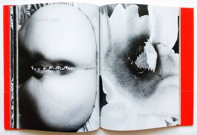 Sample page 4 for book "Araki, Nobuyoshi – Nobuyoshi Araki - Erotos (荒木経惟 エロトス)" Sample page 4 for book "Araki, Nobuyoshi – Nobuyoshi Araki - Erotos (荒木経惟 エロトス)"