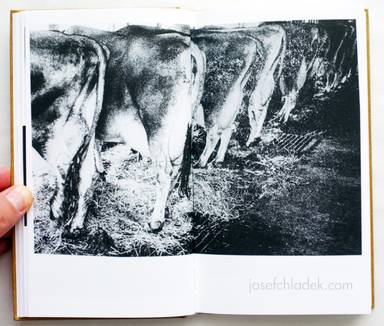 Sample page 10 for book "Kimura, Hajime – Hajime Kimura - Scrap Book" Sample page 10 for book "Kimura, Hajime – Hajime Kimura - Scrap Book"