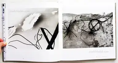 Sample page 18 for book "Giacomelli, Mario – Mario Giacomelli - Hinter dem Schleier der Realität / Under the Skin of Reality" Sample page 18 for book "Giacomelli, Mario – Mario Giacomelli - Hinter dem Schleier der Realität / Under the Skin of Reality"