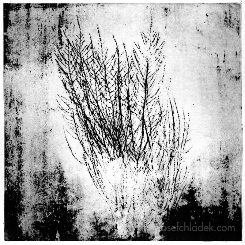 David Mondedeu - Variations on a Song - Spread 56