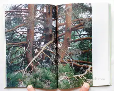 Sample page 7 for book "Hernández, Raúl – Raúl Hernández - Riverbed" Sample page 7 for book "Hernández, Raúl – Raúl Hernández - Riverbed"