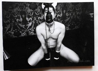 Sample page 12 for book "Jaszczuk, Paweł – Paweł Jaszczuk - Kinky City" Sample page 12 for book "Jaszczuk, Paweł – Paweł Jaszczuk - Kinky City"