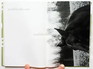 Sample page 2 for book "Anhalt, Christopher – Christopher Anhalt - Stuttgart - 28 Photos aus dem Südwesten der Republik" Sample page 2 for book "Anhalt, Christopher – Christopher Anhalt - Stuttgart - 28 Photos aus dem Südwesten der Republik"