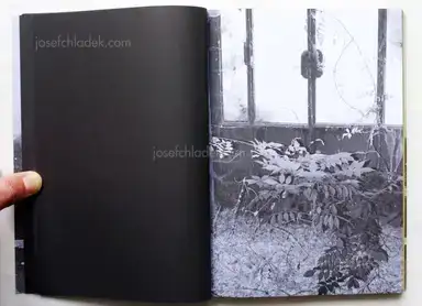 Sample page 15 for book "Solzi, Attilio – Attilio Solzi - Taedium" Sample page 15 for book "Solzi, Attilio – Attilio Solzi - Taedium"