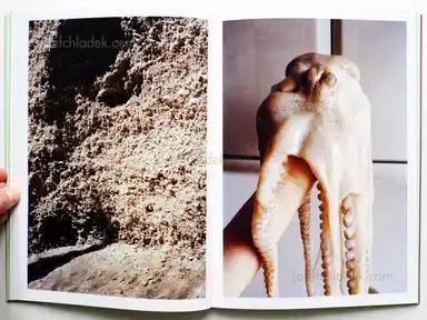 Sample page 5 for book "Tagliaferri, Michele – Michele Tagliaferri - GRASS" Sample page 5 for book "Tagliaferri, Michele – Michele Tagliaferri - GRASS"