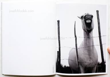 Sample page 2 for book "Anhalt, Christopher – Christopher Anhalt - Scars & Beauty" Sample page 2 for book "Anhalt, Christopher – Christopher Anhalt - Scars & Beauty"