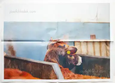 Sample page 11 for book "Toft, Martin – Martin Toft - Atlantus" Sample page 11 for book "Toft, Martin – Martin Toft - Atlantus"