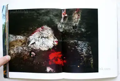 Sample page 9 for book "Harris, Sam – Sam Harris - The Middle of Somewhere" Sample page 9 for book "Harris, Sam – Sam Harris - The Middle of Somewhere"