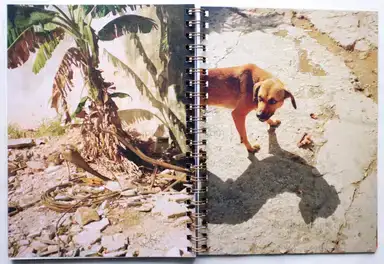 Sample page 3 for book "Rozovsky, Irina – Irina Rozovsky - Island in my mind" Sample page 3 for book "Rozovsky, Irina – Irina Rozovsky - Island in my mind"