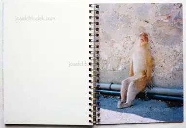 Sample page 2 for book "Rozovsky, Irina – Irina Rozovsky - Island in my mind" Sample page 2 for book "Rozovsky, Irina – Irina Rozovsky - Island in my mind"