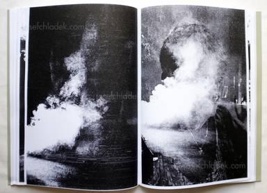 Sample page 14 for book  Thomas Hauser &ndash; The Wake of Dust