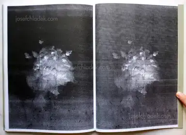 Sample page 1 for book "Hauser, Thomas – Thomas Hauser - The Wake of Dust" Sample page 1 for book "Hauser, Thomas – Thomas Hauser - The Wake of Dust"
