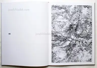 Sample page 7 for book "Neumann, Thomas – Thomas Neumann - The Japanese Series" Sample page 7 for book "Neumann, Thomas – Thomas Neumann - The Japanese Series"