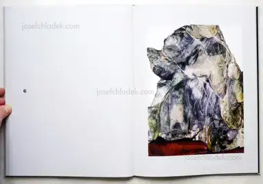 Sample page 3 for book "Neumann, Thomas – Thomas Neumann - The Japanese Series" Sample page 3 for book "Neumann, Thomas – Thomas Neumann - The Japanese Series"