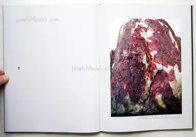 Sample page 2 for book "Neumann, Thomas – Thomas Neumann - The Japanese Series" Sample page 2 for book "Neumann, Thomas – Thomas Neumann - The Japanese Series"