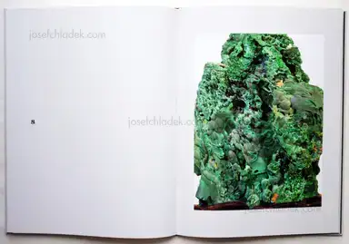 Sample page 1 for book "Neumann, Thomas – Thomas Neumann - The Japanese Series" Sample page 1 for book "Neumann, Thomas – Thomas Neumann - The Japanese Series"