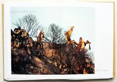 Sample page 2 for book "Kila, Alessandra – Alessandra Kila - Calabria Upon Return" Sample page 2 for book "Kila, Alessandra – Alessandra Kila - Calabria Upon Return"