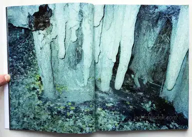 Sample page 20 for book "Yokota, Daisuke – Daisuke Yokota - Taratine (横田大輔 - 垂乳根)" Sample page 20 for book "Yokota, Daisuke – Daisuke Yokota - Taratine (横田大輔 - 垂乳根)"