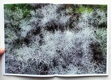 Sample page 12 for book "de Rooij, Hillie – Hillie de Rooij - Myopia" Sample page 12 for book "de Rooij, Hillie – Hillie de Rooij - Myopia"