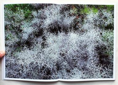 Sample page 4 for book  Hillie de Rooij &ndash; Myopia