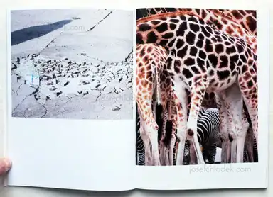 Sample page 11 for book "de Rooij, Hillie – Hillie de Rooij - Myopia" Sample page 11 for book "de Rooij, Hillie – Hillie de Rooij - Myopia"