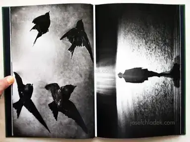 Sample page 10 for book "Sevincli, Yusuf – Yusuf Sevincli - Walking" Sample page 10 for book "Sevincli, Yusuf – Yusuf Sevincli - Walking"