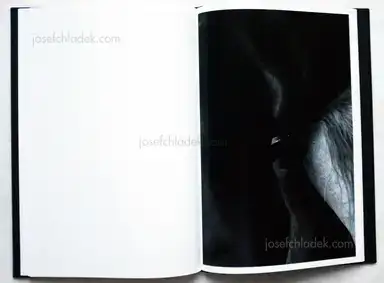 Sample page 7 for book "Connew, Bruce – Bruce Connew - Body of Work" Sample page 7 for book "Connew, Bruce – Bruce Connew - Body of Work"